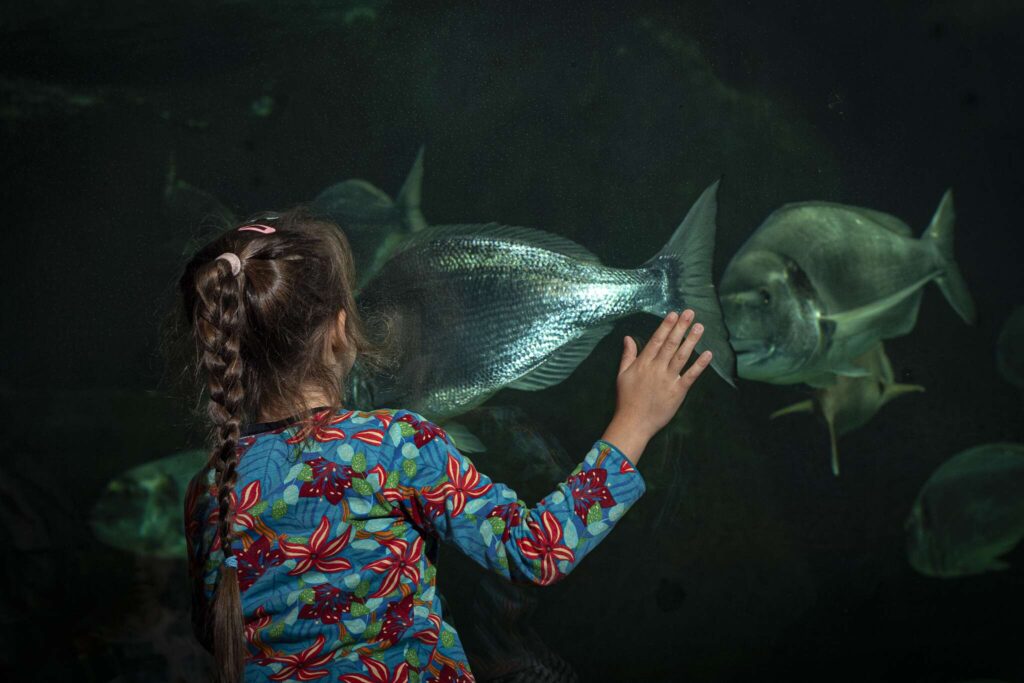 Marinarium de Concarneau